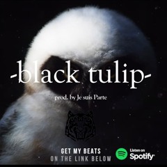 BLACK TULIP - Emotional Sad Piano | Witt Lowry feat. NF Type Beat