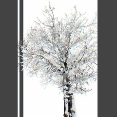 7XVN - BLUE [ZXTZV FLIP]