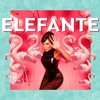 NK - Elefante NK - Elefante
