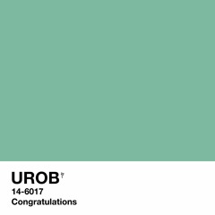 14-6017 (Post Malone - Congratulations / Urob Remix)