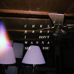 I DON’T WANNA SEE YOU