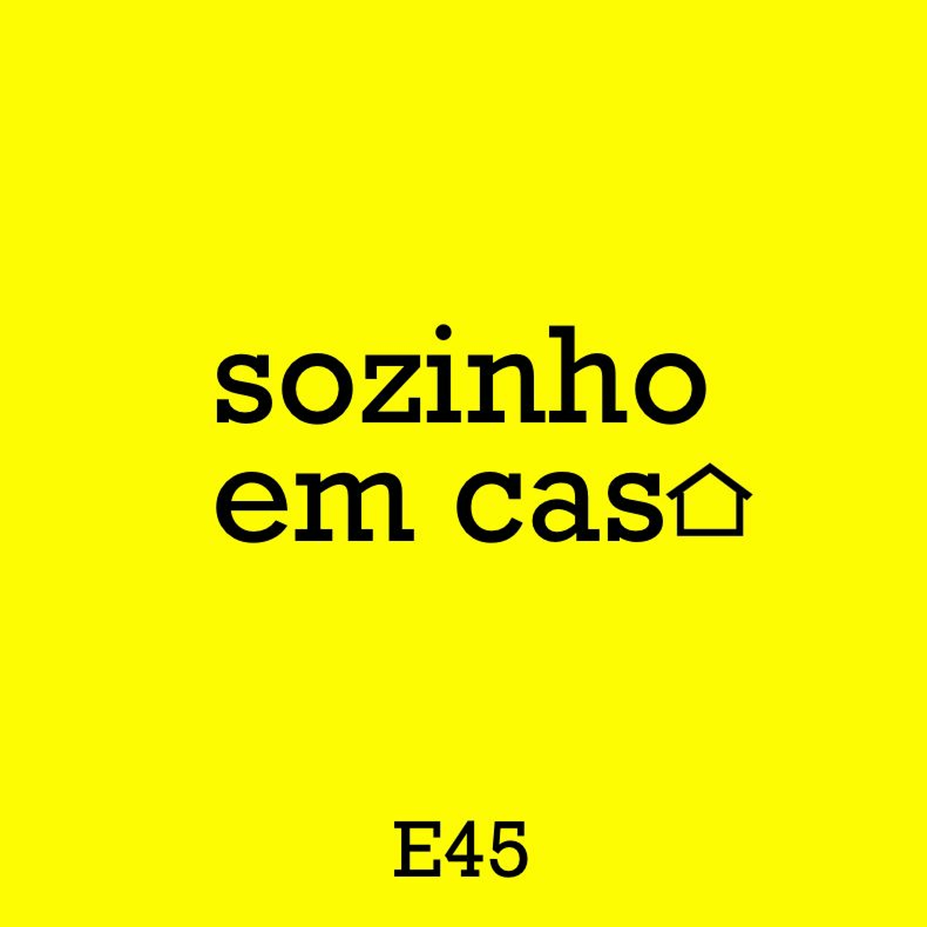 sozinho em casa
