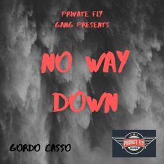 Gordo Casso - No Way Down