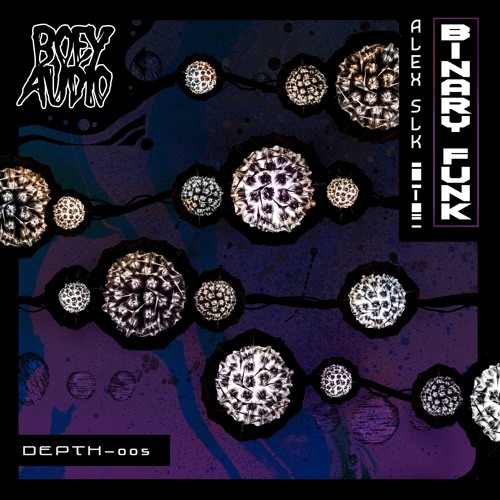 Alex SLK - Binary Funk