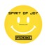 Spirit Of Joy(original mix)