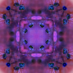 Interzone Dreams