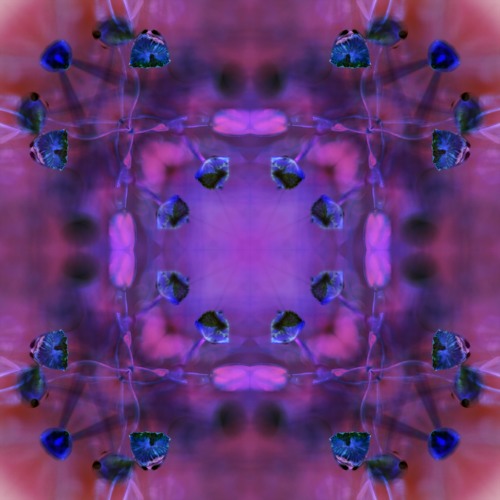 Interzone Dreams