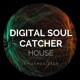on DIGITAL SOUL CATCHER - HOUSE