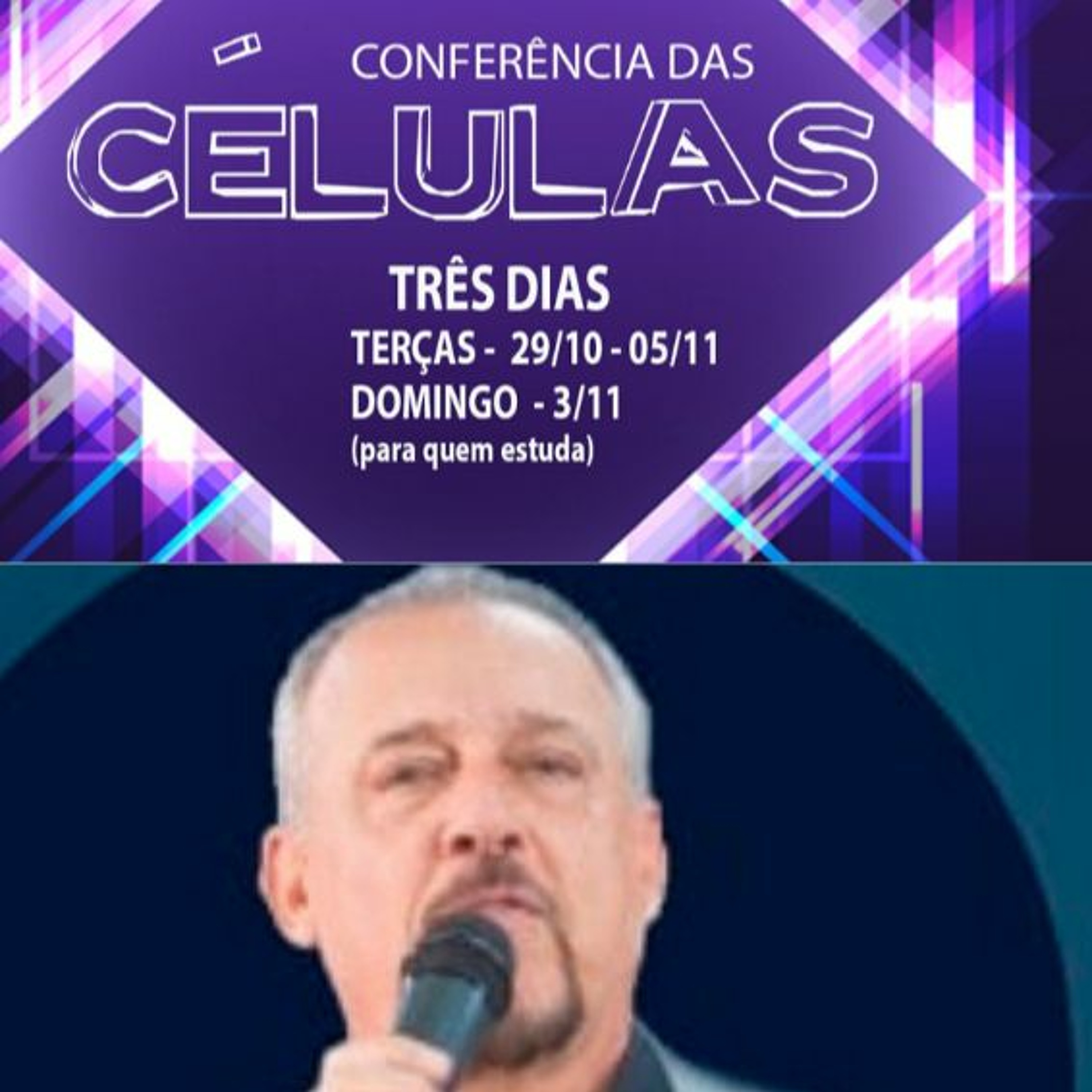 Renovada Internacional