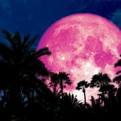 Straight To The Moon