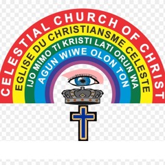 Mega99@Shallom 2019 - Mp3