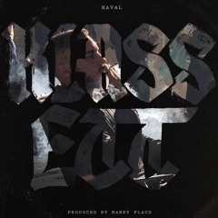 HAVAL - KLASS ETT