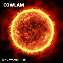 COWLAM - Who Wants It (original mix)