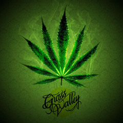 🌴 GRASS VALLEY ✈️