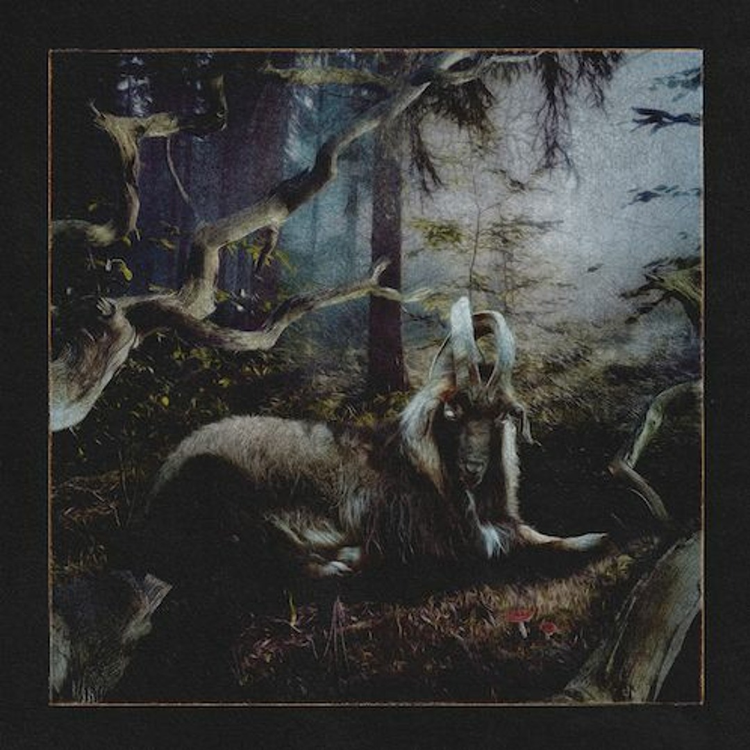Stream 4N (feat. Mach-Hommy) by Earl Sweatshirt | Listen online