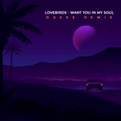 Lovebirds - Want You In My Soul (Duske Remix)