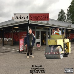 Ett Håsta Sinnesätt (feat. Yung ostkrok & lil Ångvält)