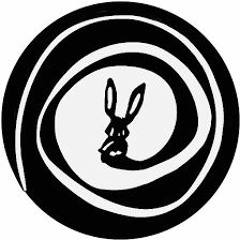 The Rabbit Hole Experiment