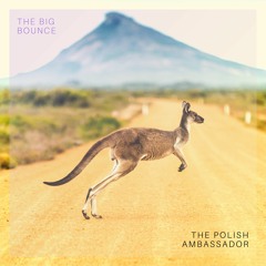 The Polish Ambassador Feat. Robin Jackson, Jesse Klein - The Big Bounce