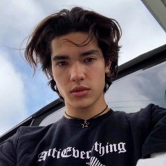 the story by conan gray.