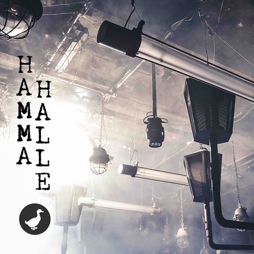 Snippets Hammahalle