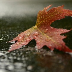 autumn in my soul