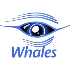Whale Song