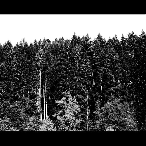 krobak - They're all shot this winter