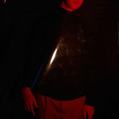 Shyboi Ness - No Reason