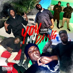 Stunnap649 FT 40 (You My Dawgg)