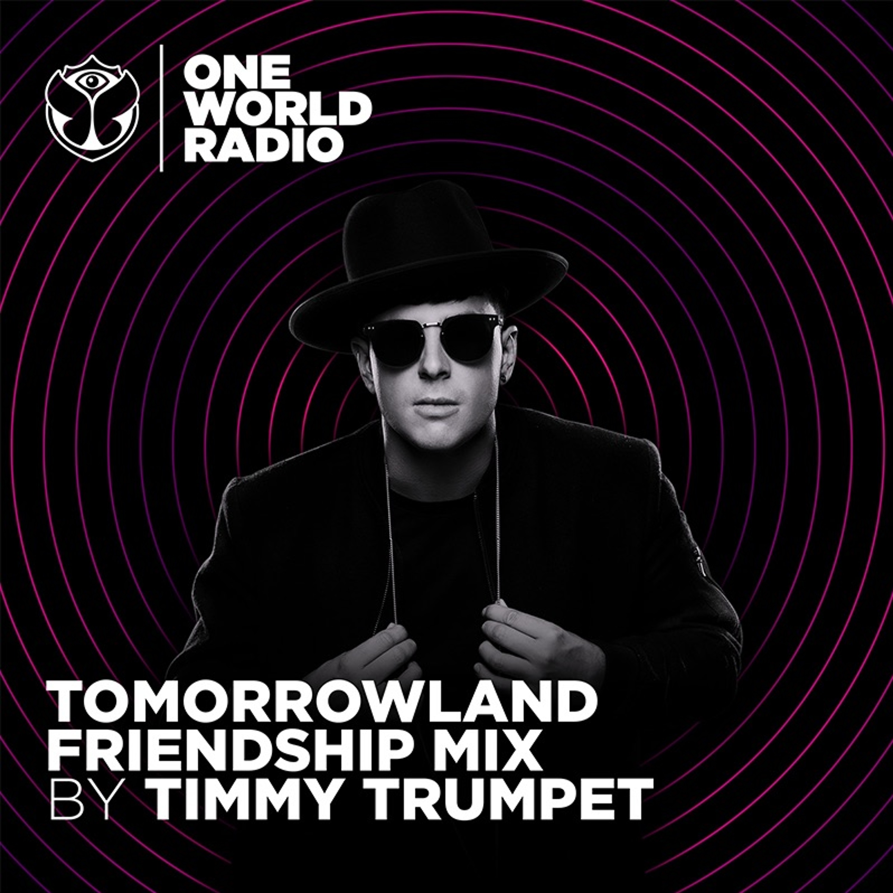 Tomorrowland Friendship Mix