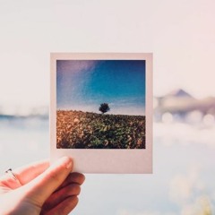 we keep this love in a photograph