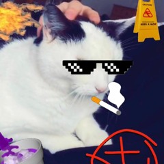 MIUKU *rare*FREESTYLE w/henry