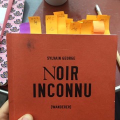 Noir Inconnu - Wanderer / Sylvain George expérience n°1