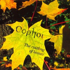 High Winds, White Sky