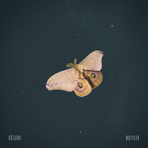 Motylek