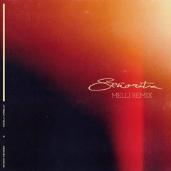 Shawn Mendes & Camila Cabello - Señorita (Melli Remix)