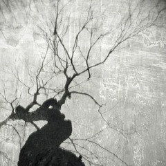 LoveKrafty : The Dark Crooked Tree (Chaos Studio cover)