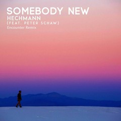Hechmann - Somebody New (feat. Peter Schaw) [Encounter Remix]