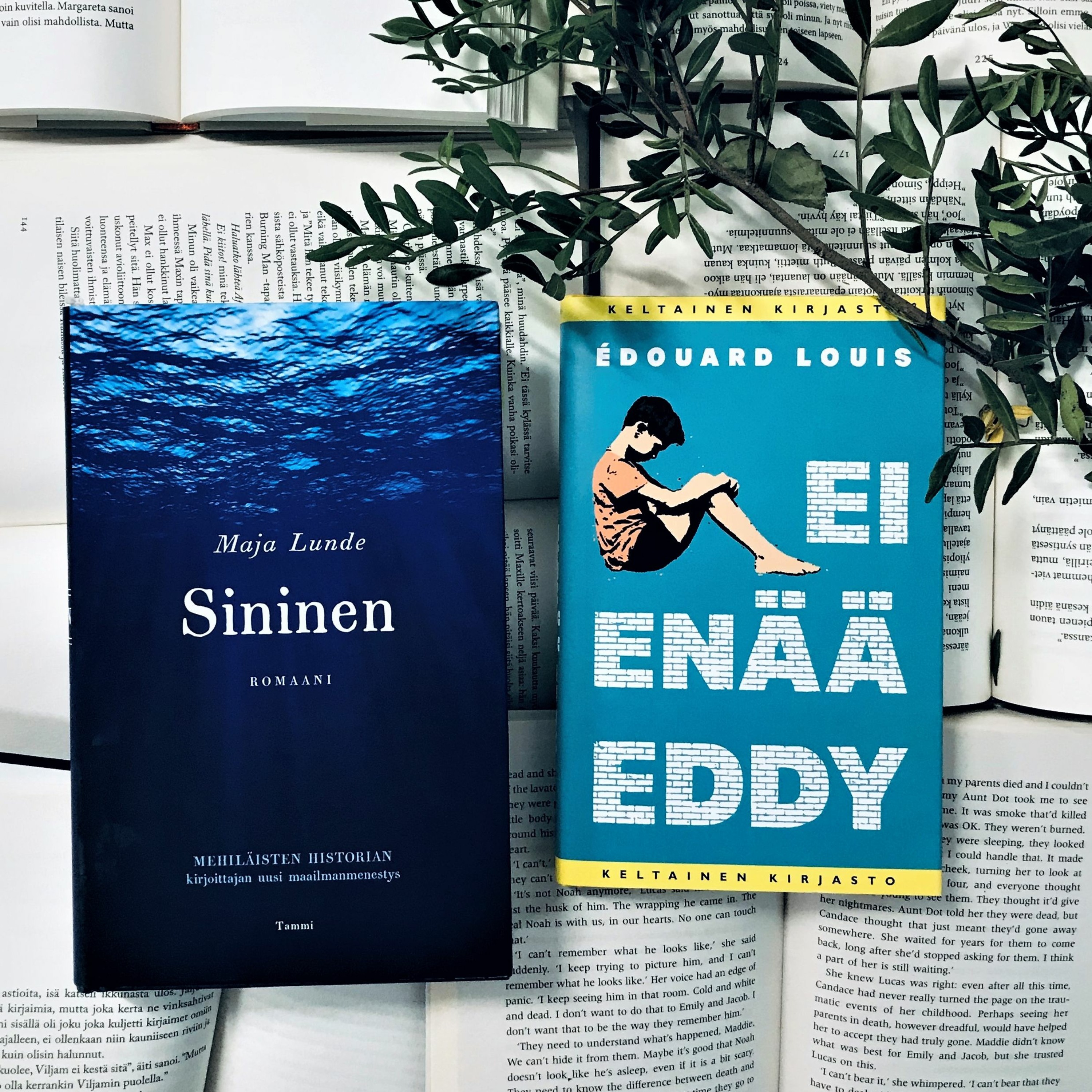 4. Pitääkö olla jotakin mieltä? (Maja Lunde: Sininen & Édouard Louis: Ei enää Eddy)