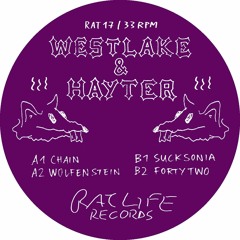 Westlake & Hayter - Sucksonia EP (Rat 17)