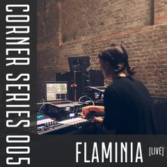 CS005 / FLAMINIA [live] / VSK SERIES