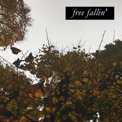 Free Fallin' (OSC #128)
