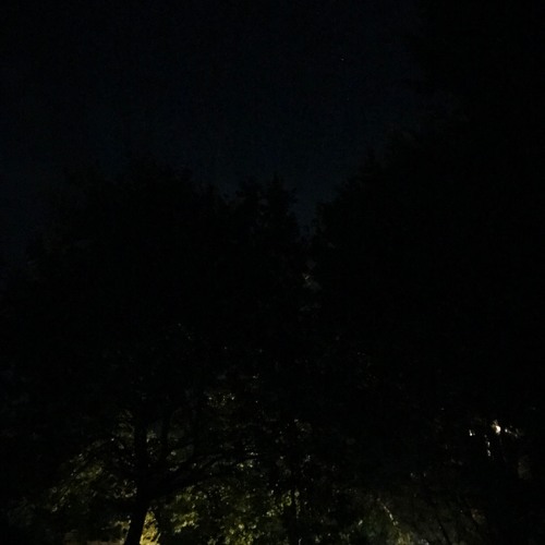 shelter