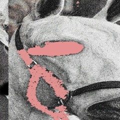 OXOSSI - BLACKHORSE (CAUSA REMIX)