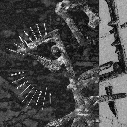 [TERR111] Luke Lund - Haloksi (Into a Halo)