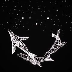 Coldplay - Midnight (A fictional. re-imagination)