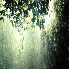 Spring Rain