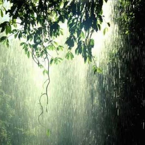 Spring Rain