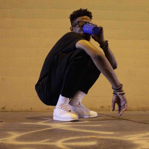 Pi$tols & Palmtree$ ft Mar & Wallie The Sensei(watch’n for the police)